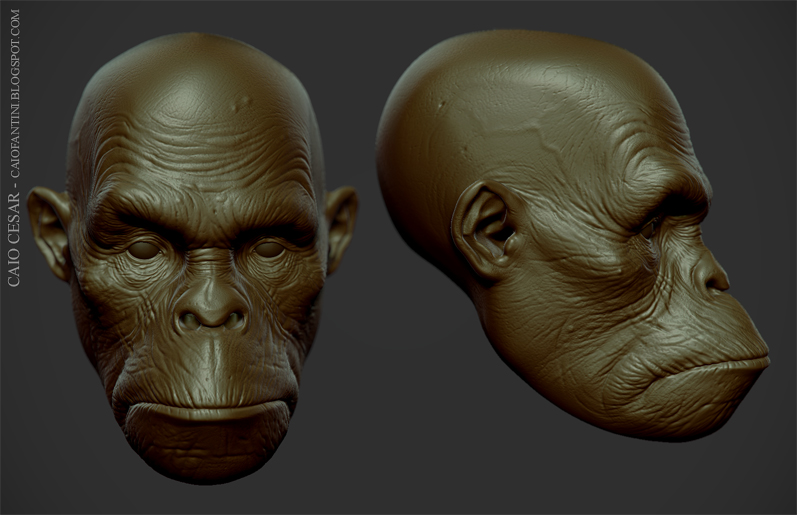 MACACO01teste