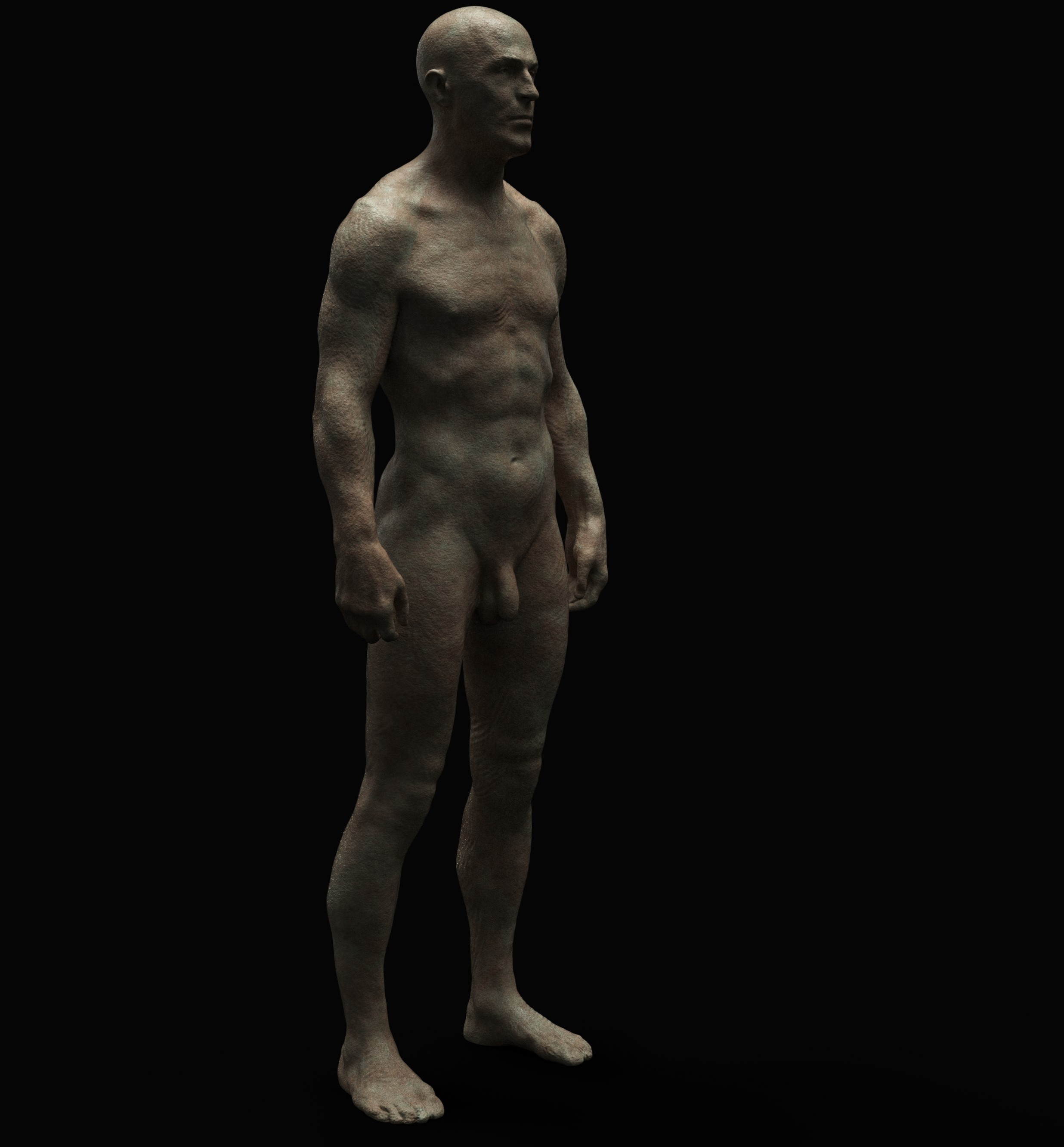 Anatomy2.jpg