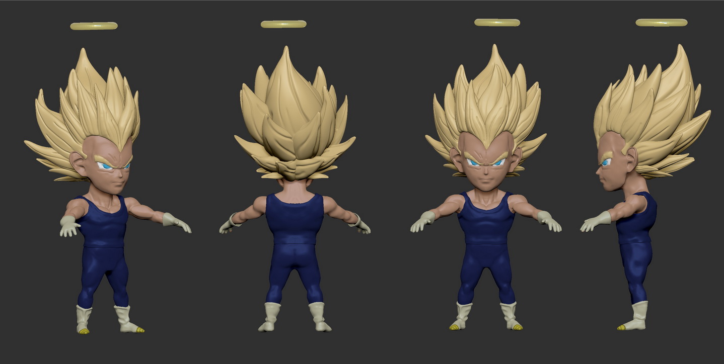 vegeta  texture 50 %.jpg