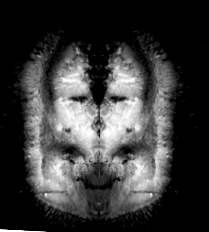 marsfaceinvert2.jpg