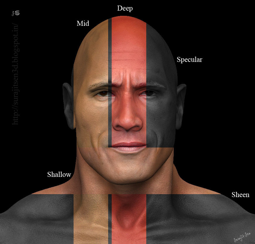 4__Dwayne Johnson_3D Porttrait_Maps_Breakdown by Surajit Sen.JPG