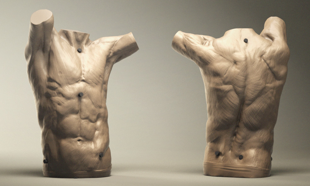 male_torso01sd.jpg