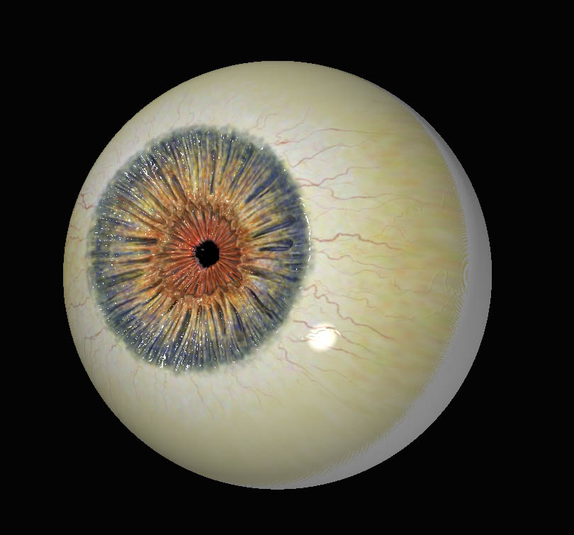 eye5 pic.jpg