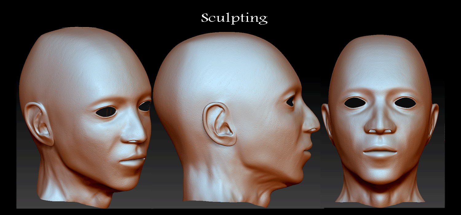 SculptingProgress2-1.gif