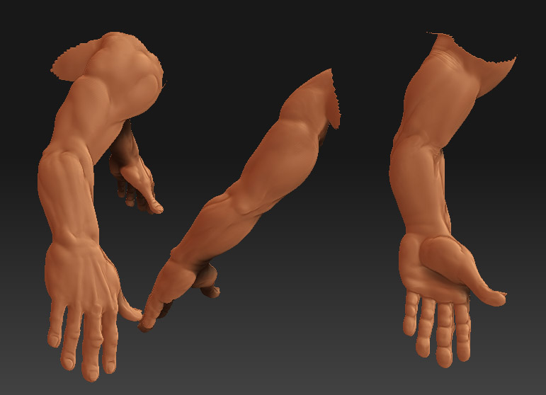 arm.jpg