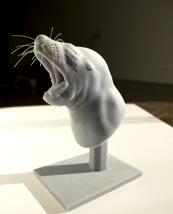 seaLionPrintWithWhiskers03.jpg