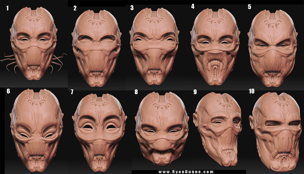 HeadChoices.jpg