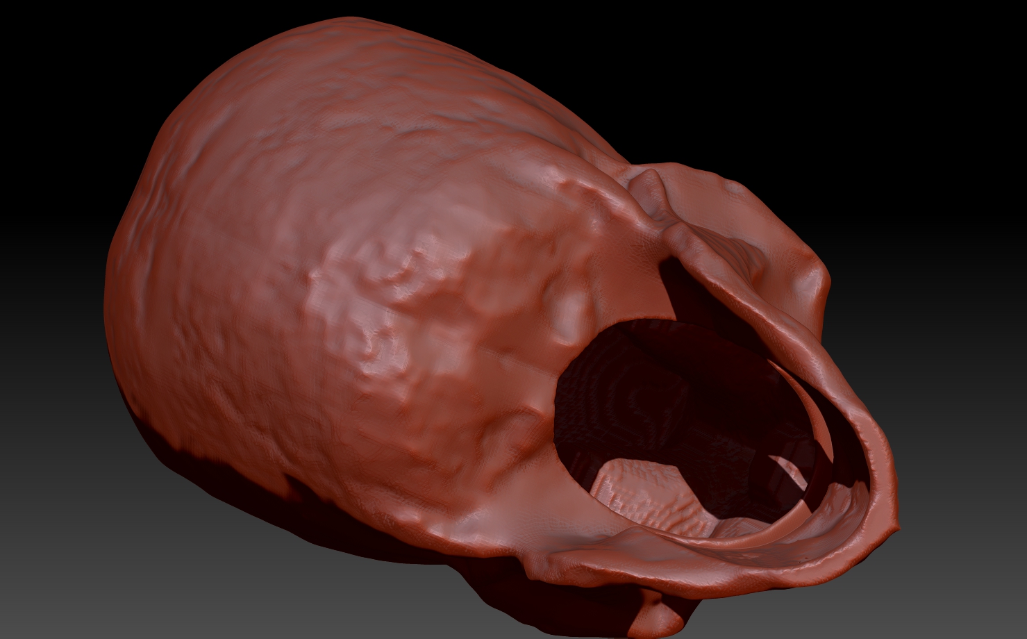 ZBrush Document.jpg