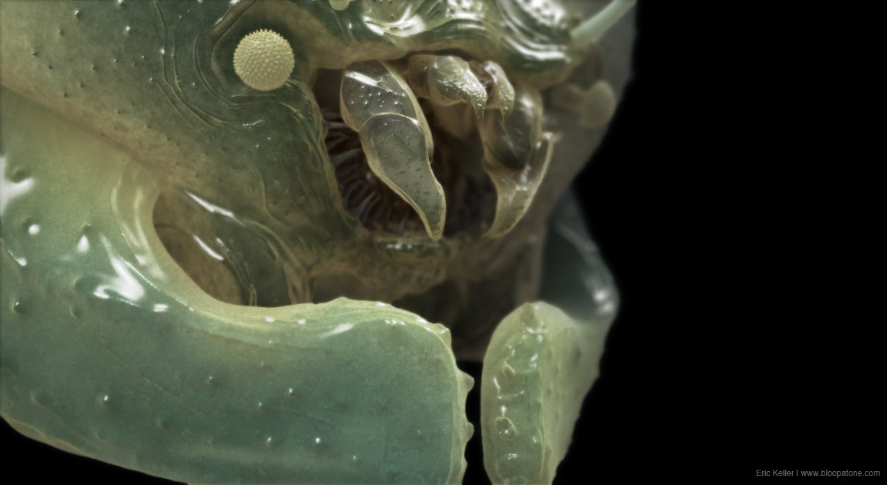 miteRender4.jpg