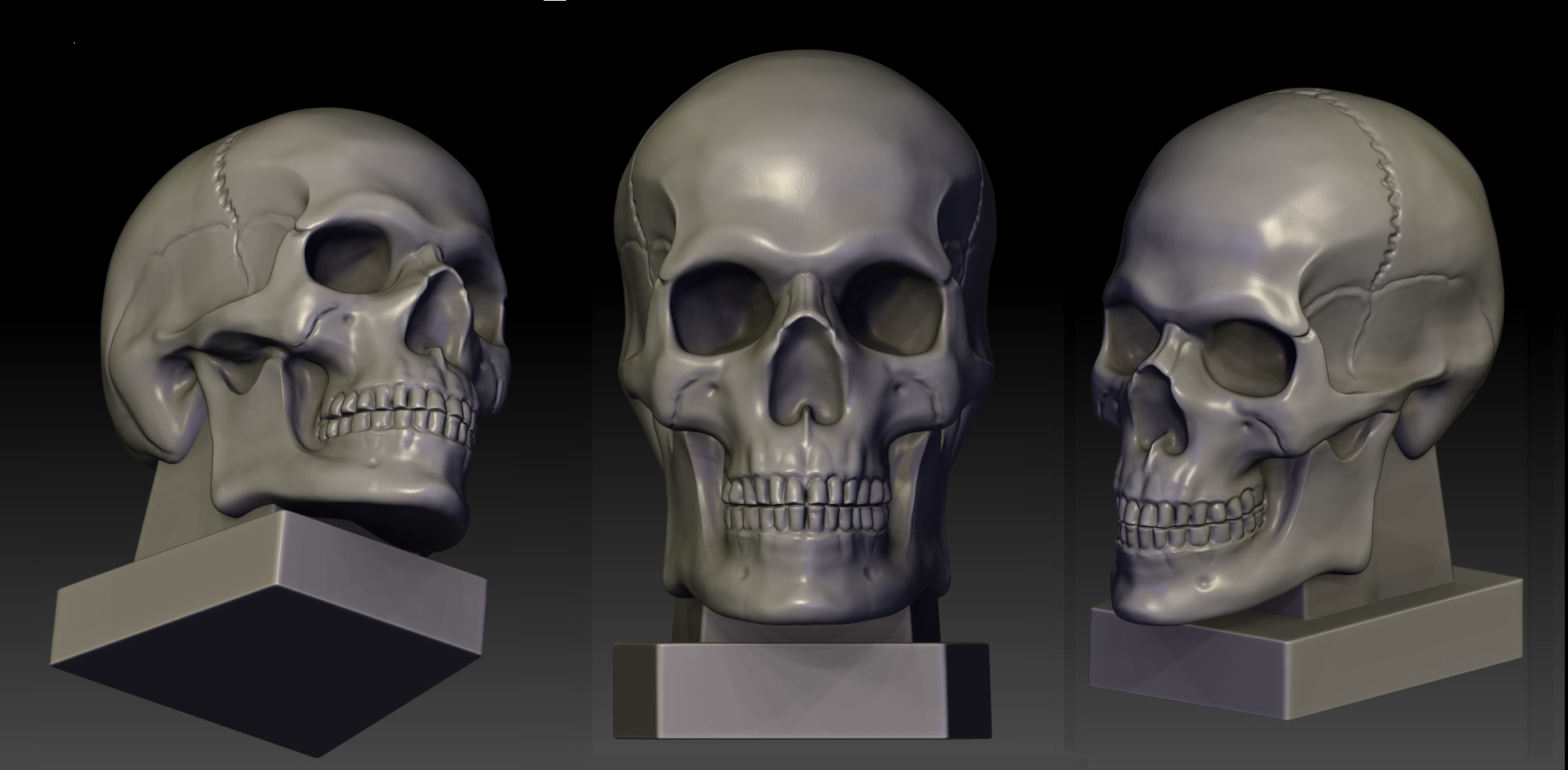 skull.jpg