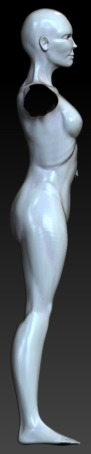 FEMALE ANATOMY retry21.jpg