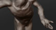 CLASSICAL TORSO 17.jpg