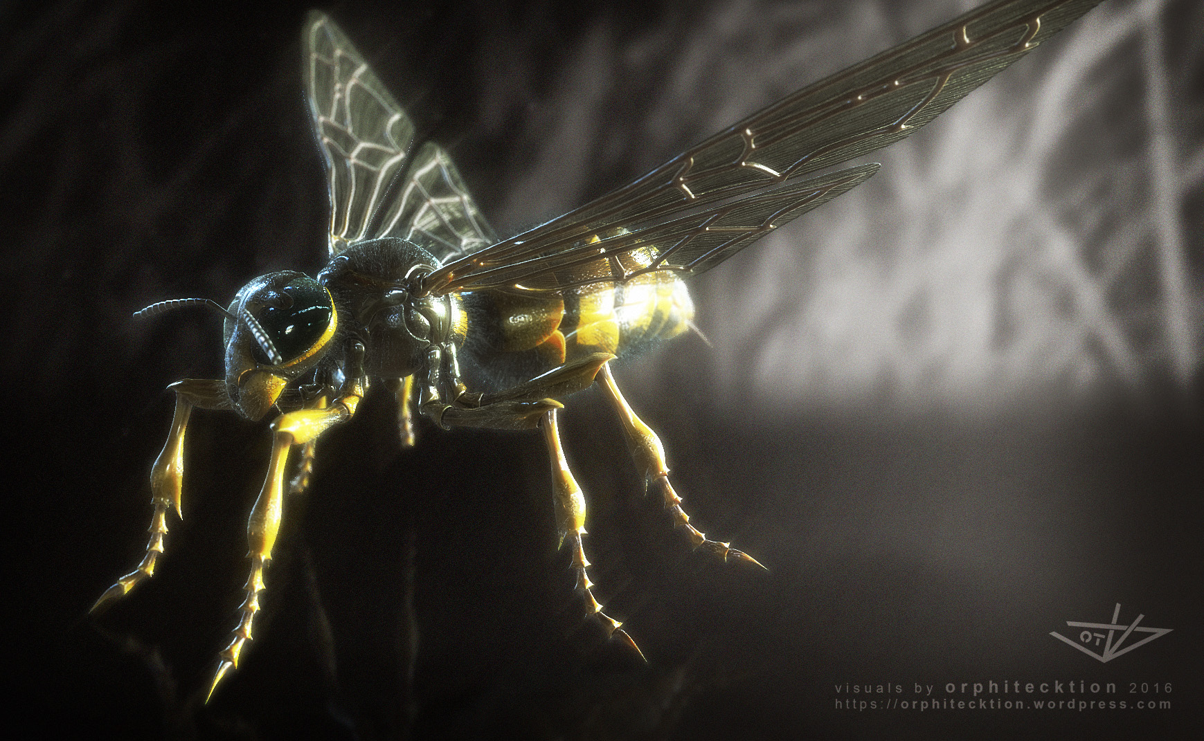 2016_Wasp_A01.jpg