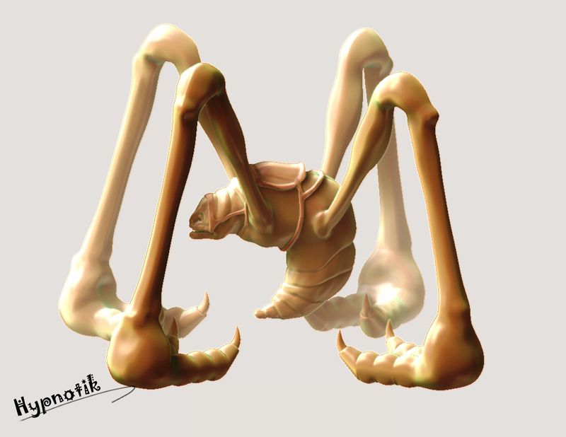 spider.jpg