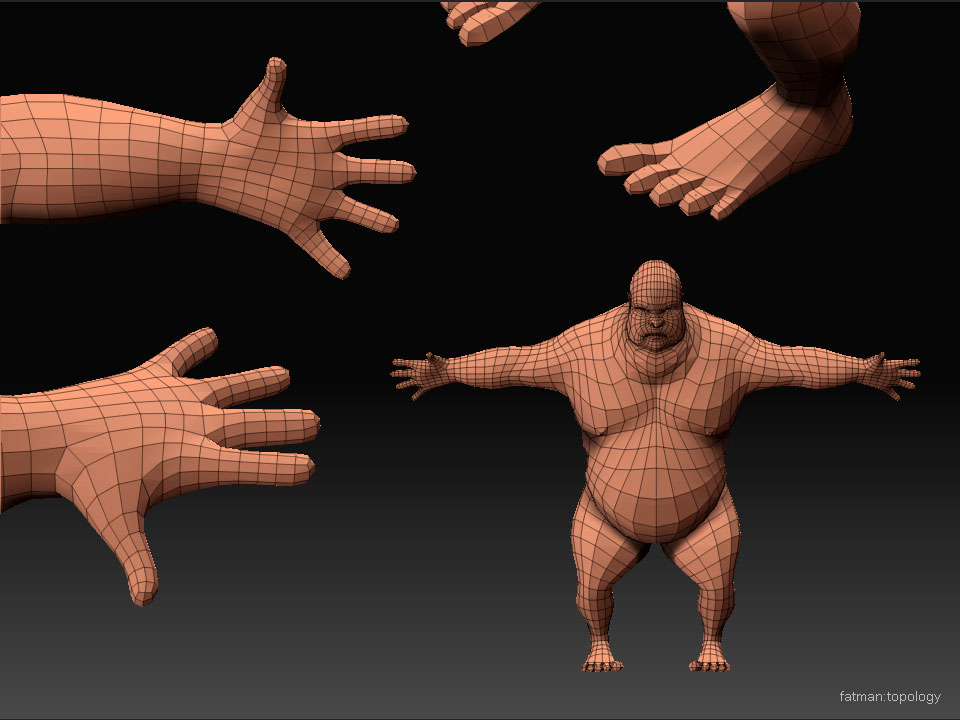 fatman_topology.jpg