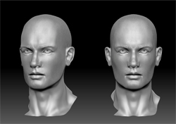 Face_thumb.jpg