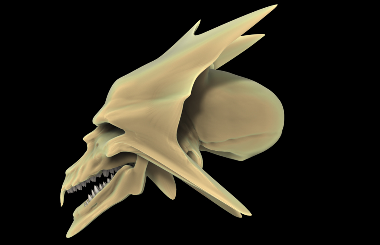 WARPTED SKULL 23.jpg
