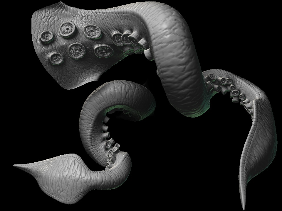 suckers_tenticles.jpg