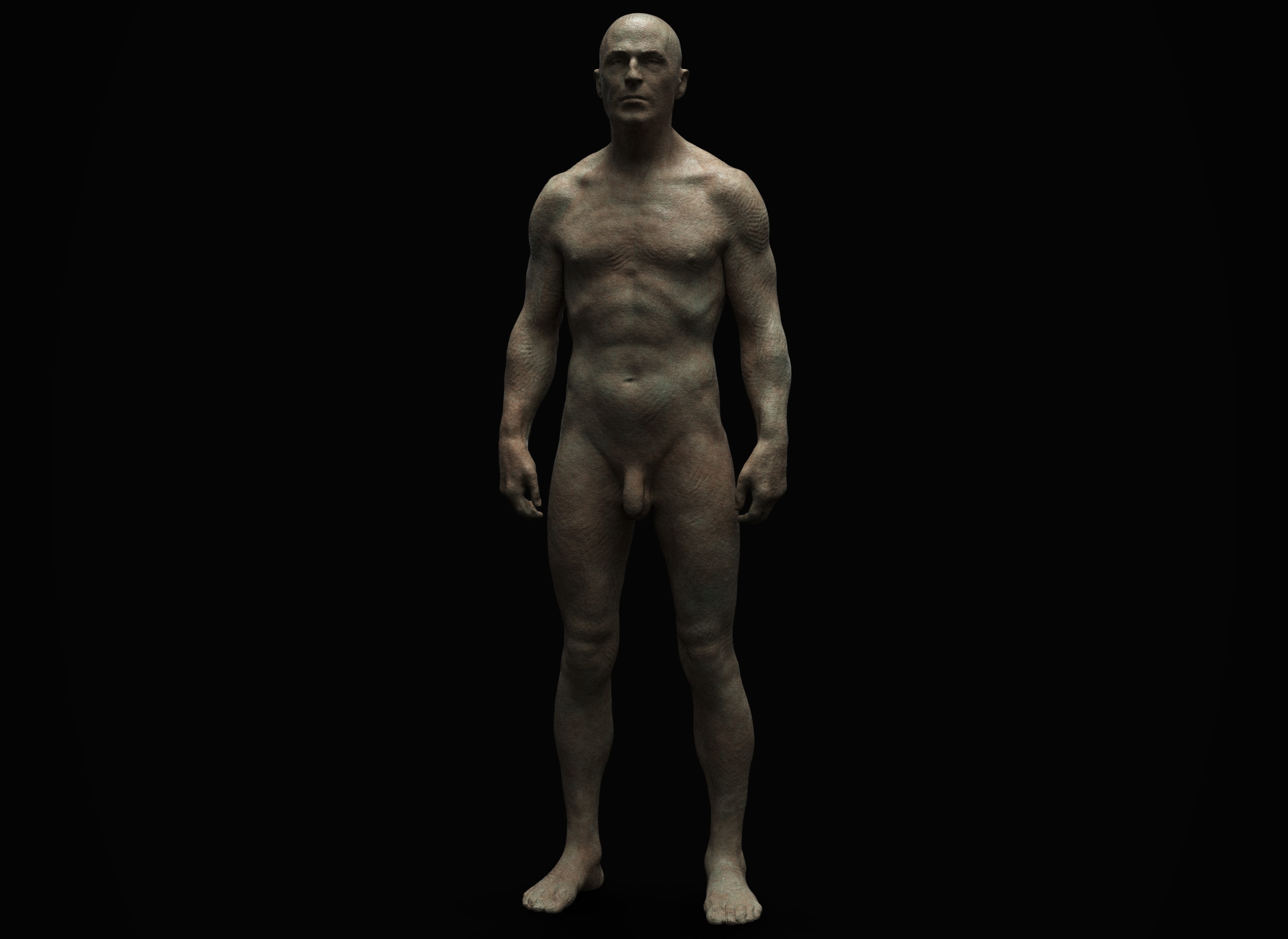 Anatomy.jpg