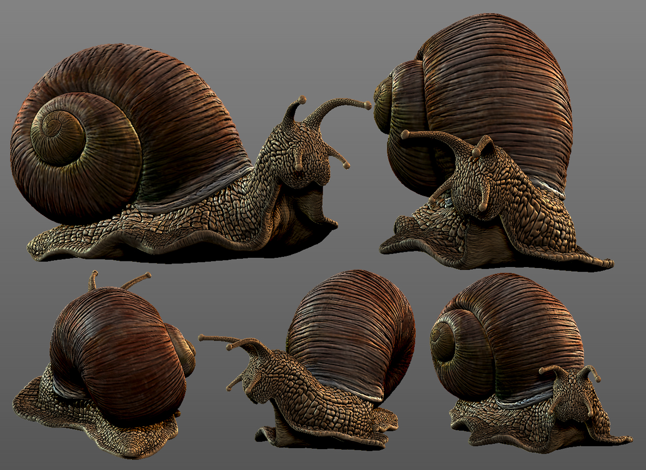 snail 3d2.jpg