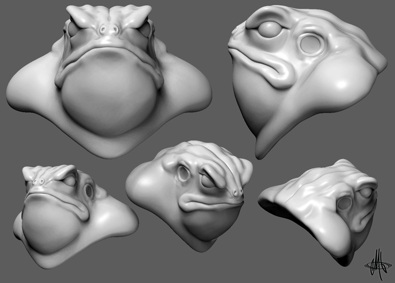 toad-test.jpg