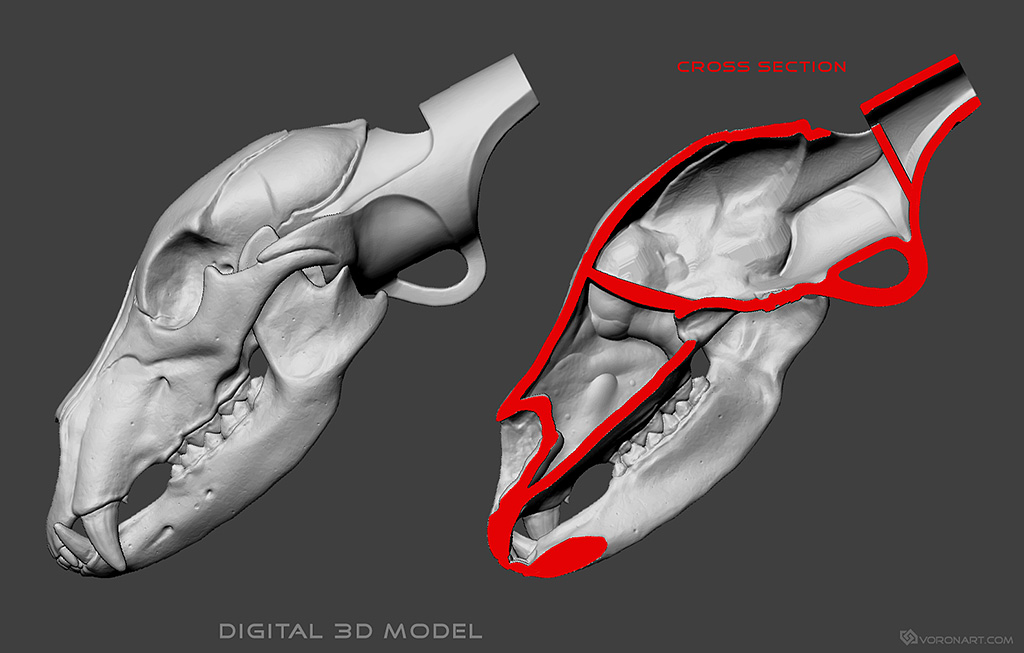 bear-skull-whistle-3d-printable-model-stl-01.jpg
