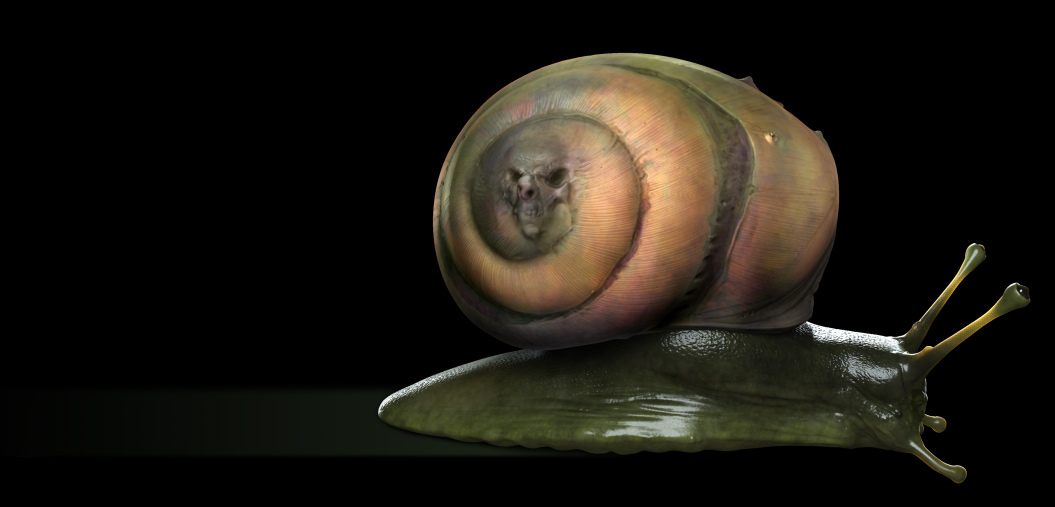 Snail3.jpg
