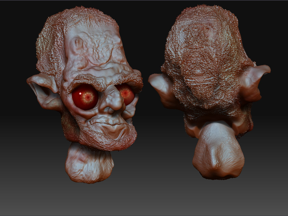 NEW-1ST-HEAD.jpg