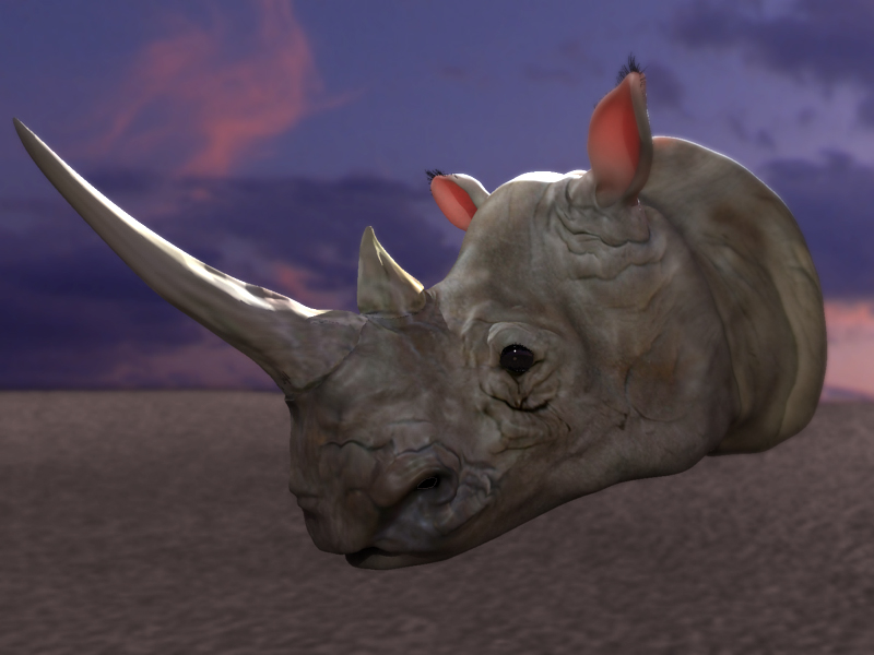 African_Rhino.jpg