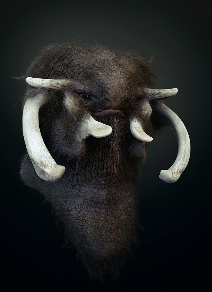 An ancestor to the lost creatures.jpg