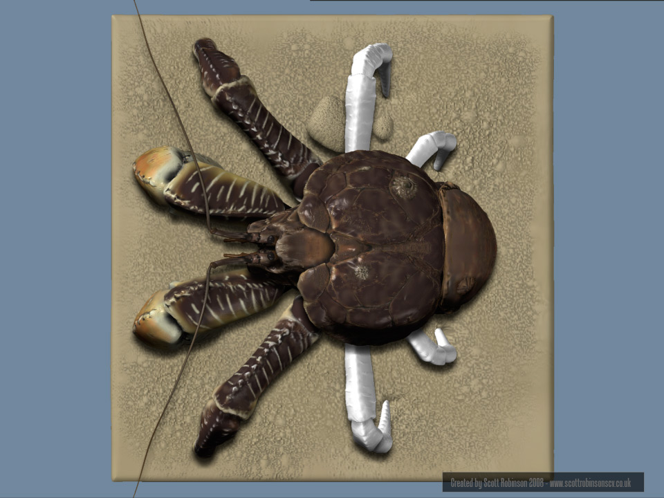 sr_zb_wip_stuff_crab08.jpg
