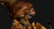 LION FIGHT 15.jpg