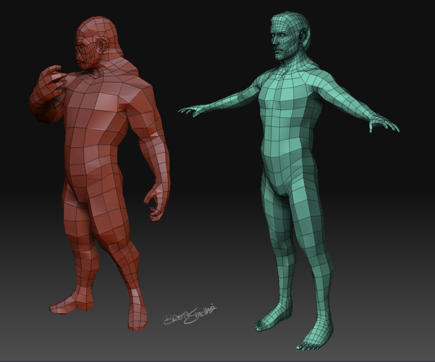 baseMeshes.jpg