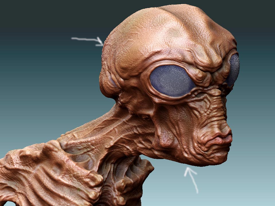 ZBrush Documenta2a.jpg