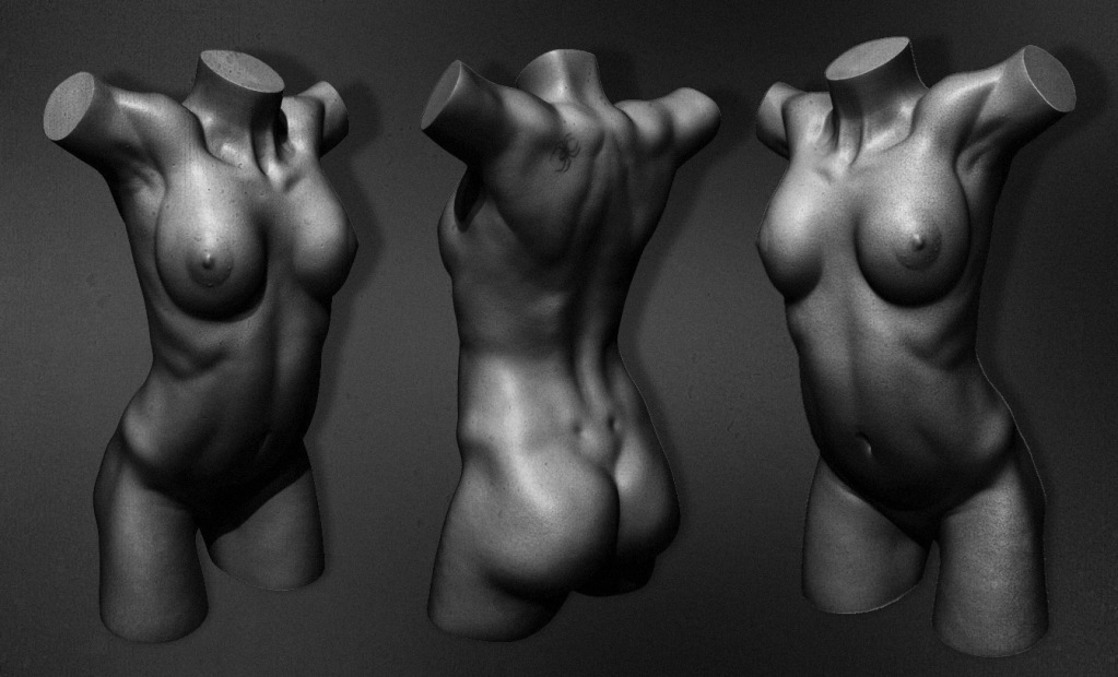 Female_Torso_PB.jpg