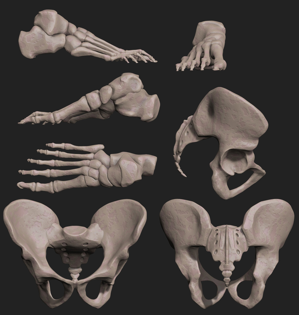 Bones.jpg