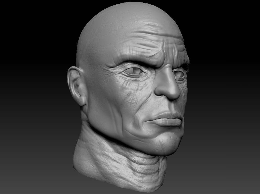 WIP head2.jpg