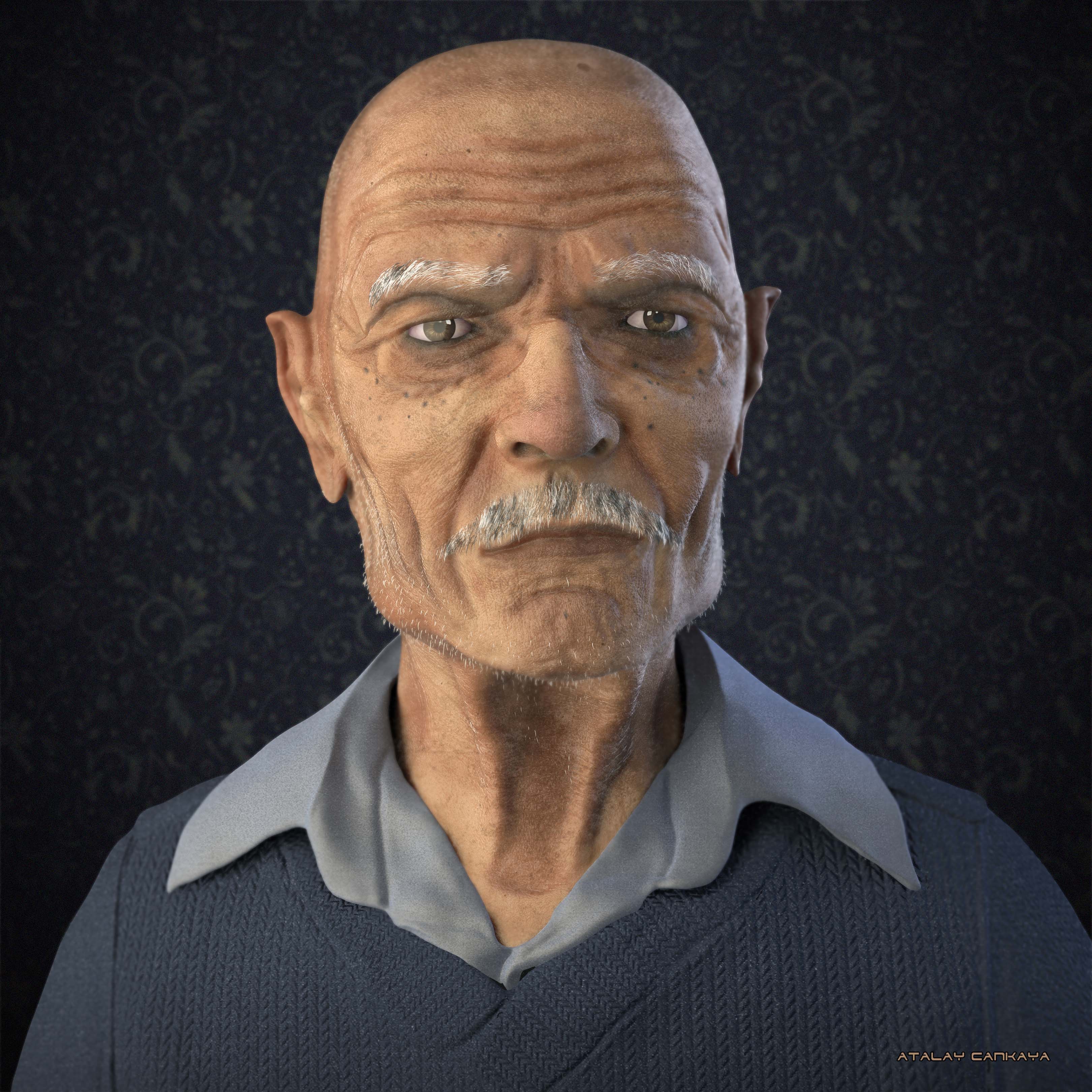 Old Man 2.jpg