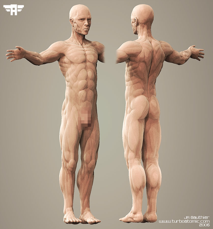 Full_body_v5.jpg