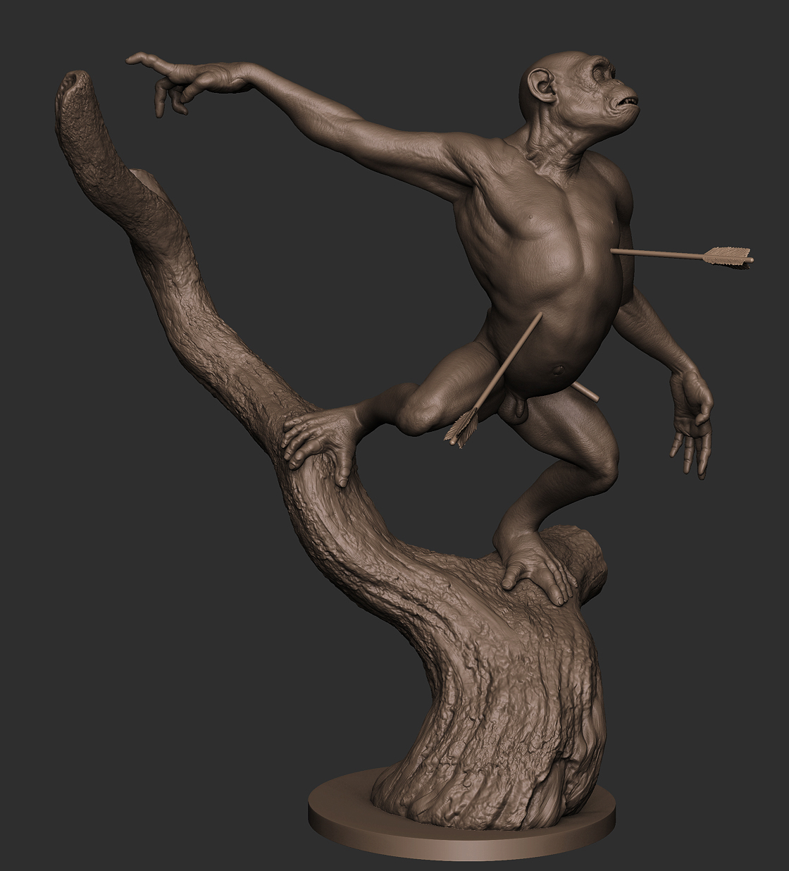 ape B.jpg
