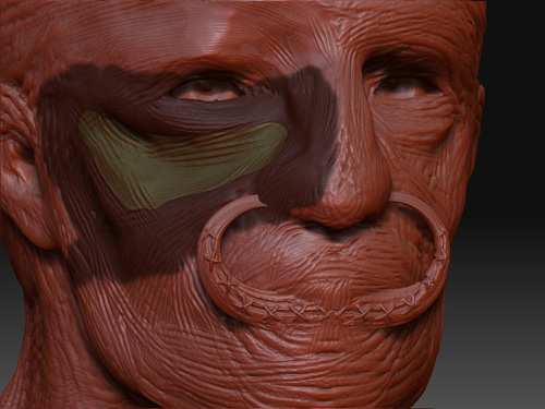 colourmask.jpg