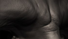 oldman1_render_t.jpg