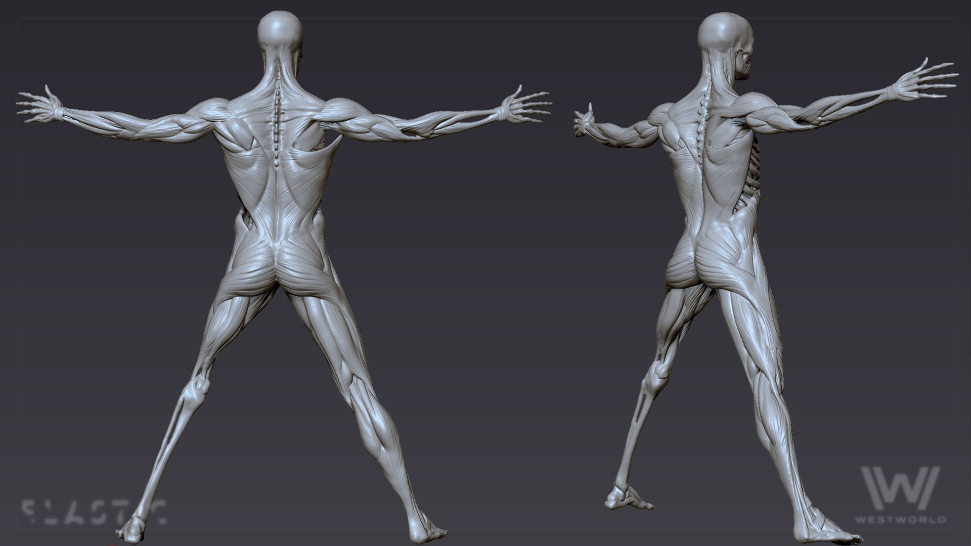 ww_zbrush_vitruvianman_02.jpg