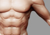 wip_male_anatomy_thumb.jpg