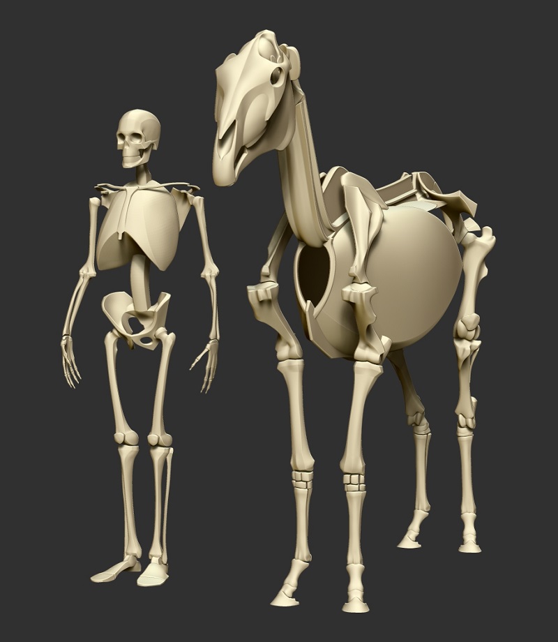 horse_skeleton12.jpg
