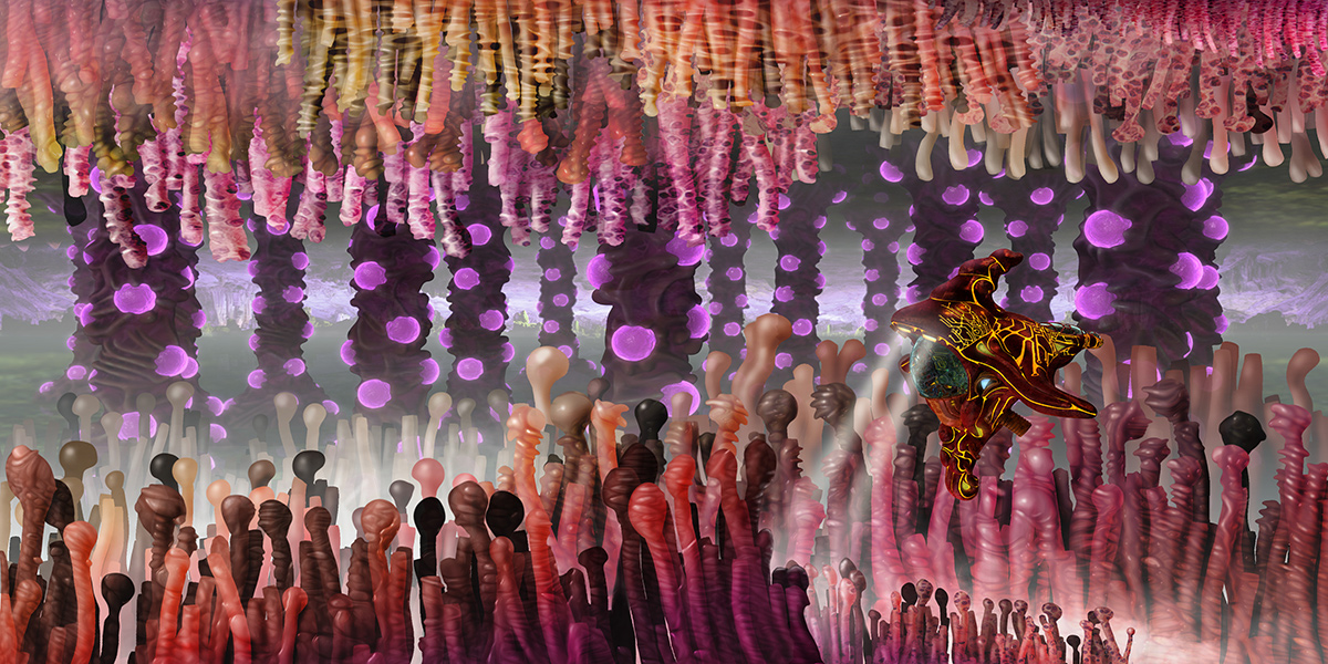 tenticle_corridor_1_web.jpg