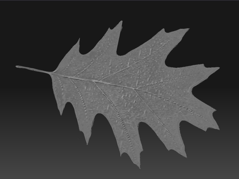 leafy.jpg