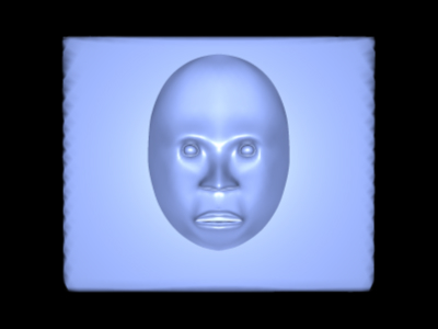 face1.JPG