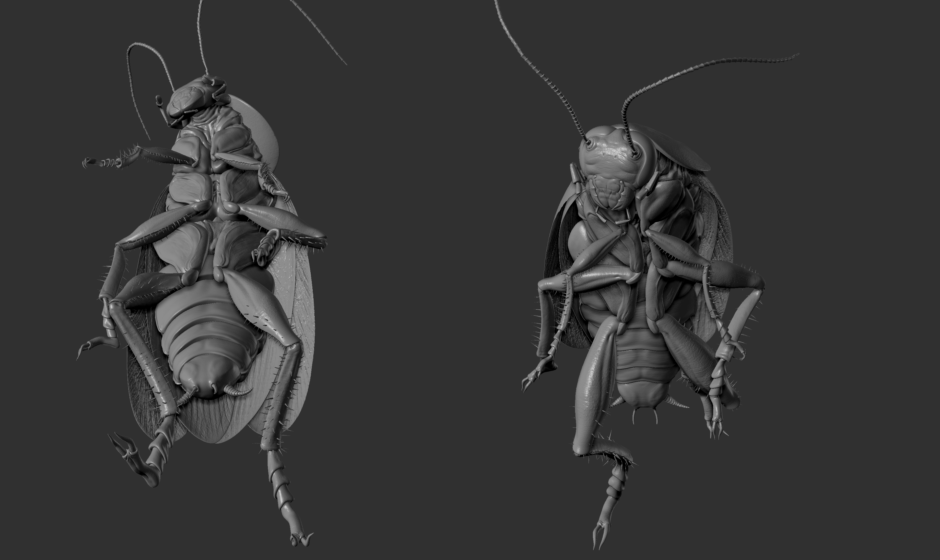 Cockroach-sculpture-03.jpg