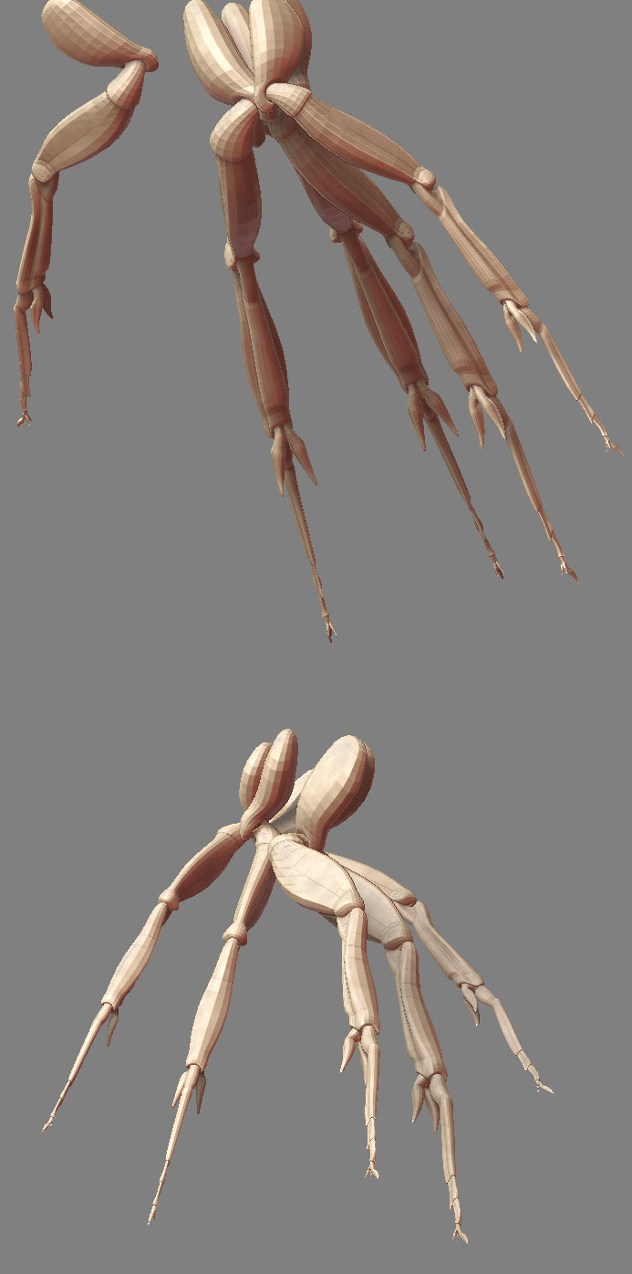 Hand_Concept.jpg